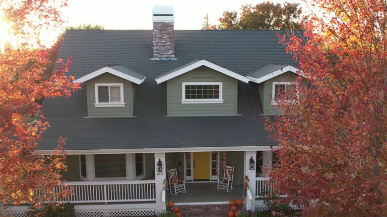 Best Roof Insulation Installation  in South Apopka, FL
